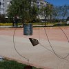 100 strade per giocare 2008